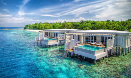 Viviendo en el paraiso